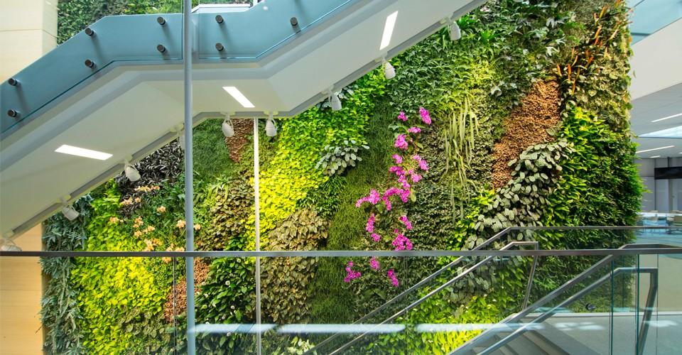Hydroponic Green Walls