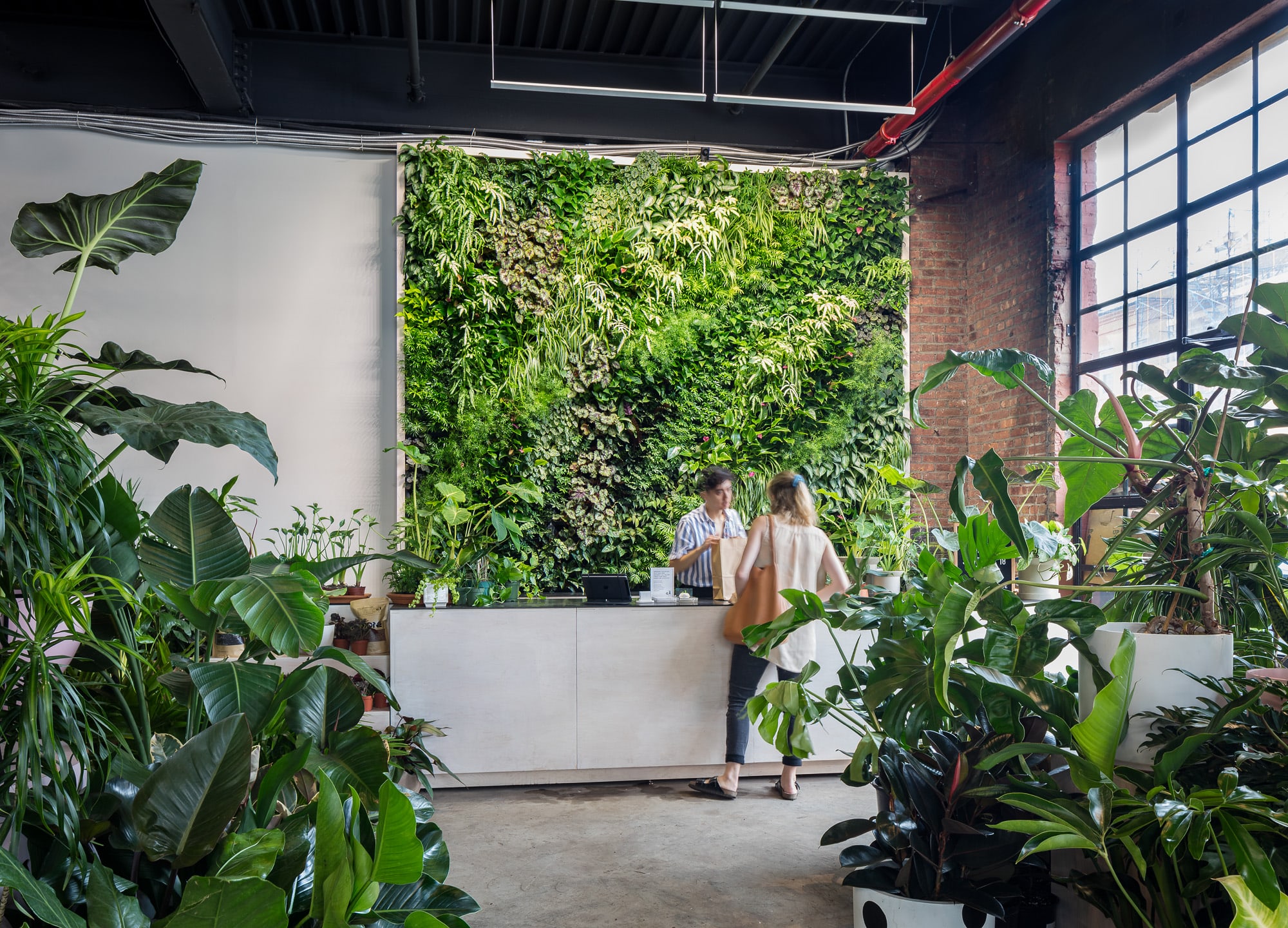 Lush living green wall installation in a commercial interior space, designed and built by Greenery NYC