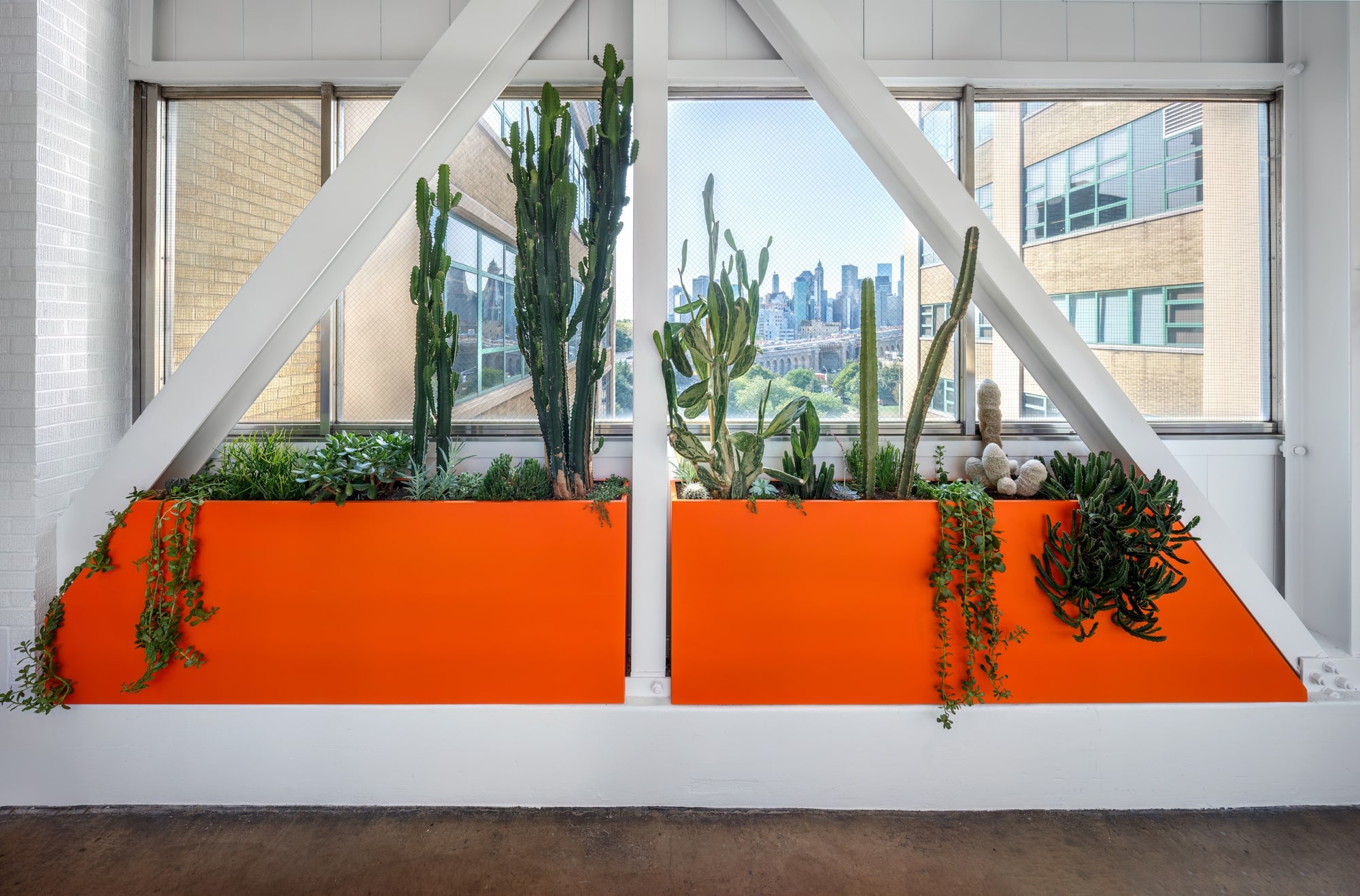 Etsy headquarters living walls and office plant displays by Greenery NYC