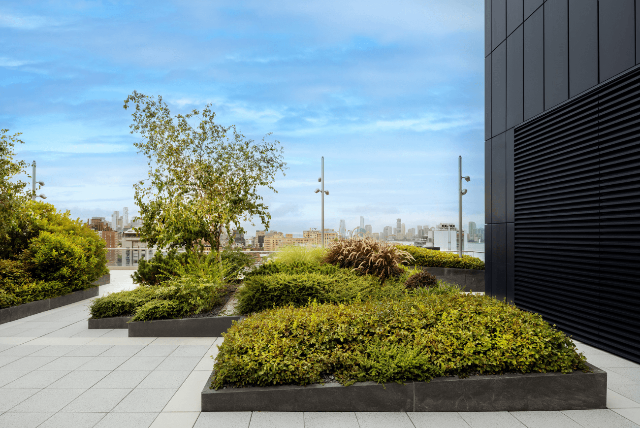 Rooftop terrace garden designed and installed by Greenery NYC